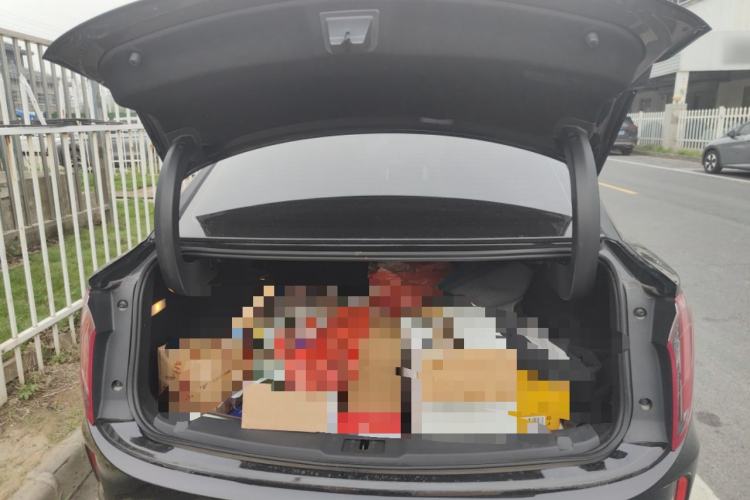 Used Hongqi E-QM5 2023 620km PLUS Trunk