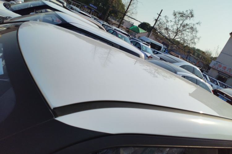 Used Qiyuan Lumin 2025 205 km Xiangqin Version