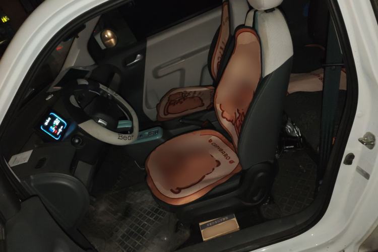 Used CHANGAN NEVO Lumin 2025 210 km Fragrant Edition Left Front Seat