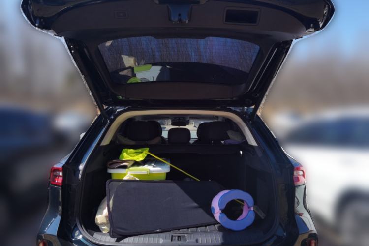 Used EXEED Lingyun 2025 300T Two-Wheel Drive Starry Edition
