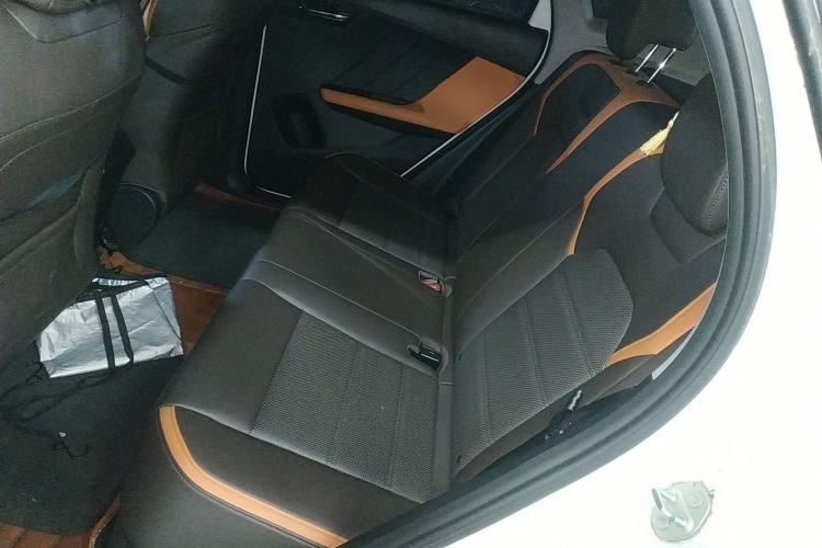 Used BYD e2 2020 Upgraded Version Long-Range Edition Luxury Model Left Rear Seat