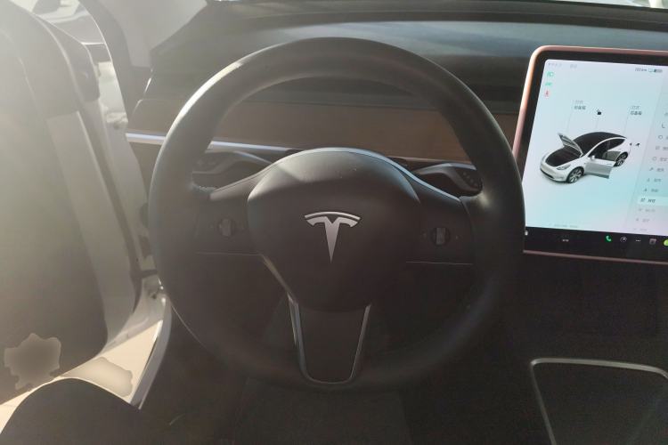 Used Tesla Model Y 2021 Standard Range Rear-Wheel Drive Version
