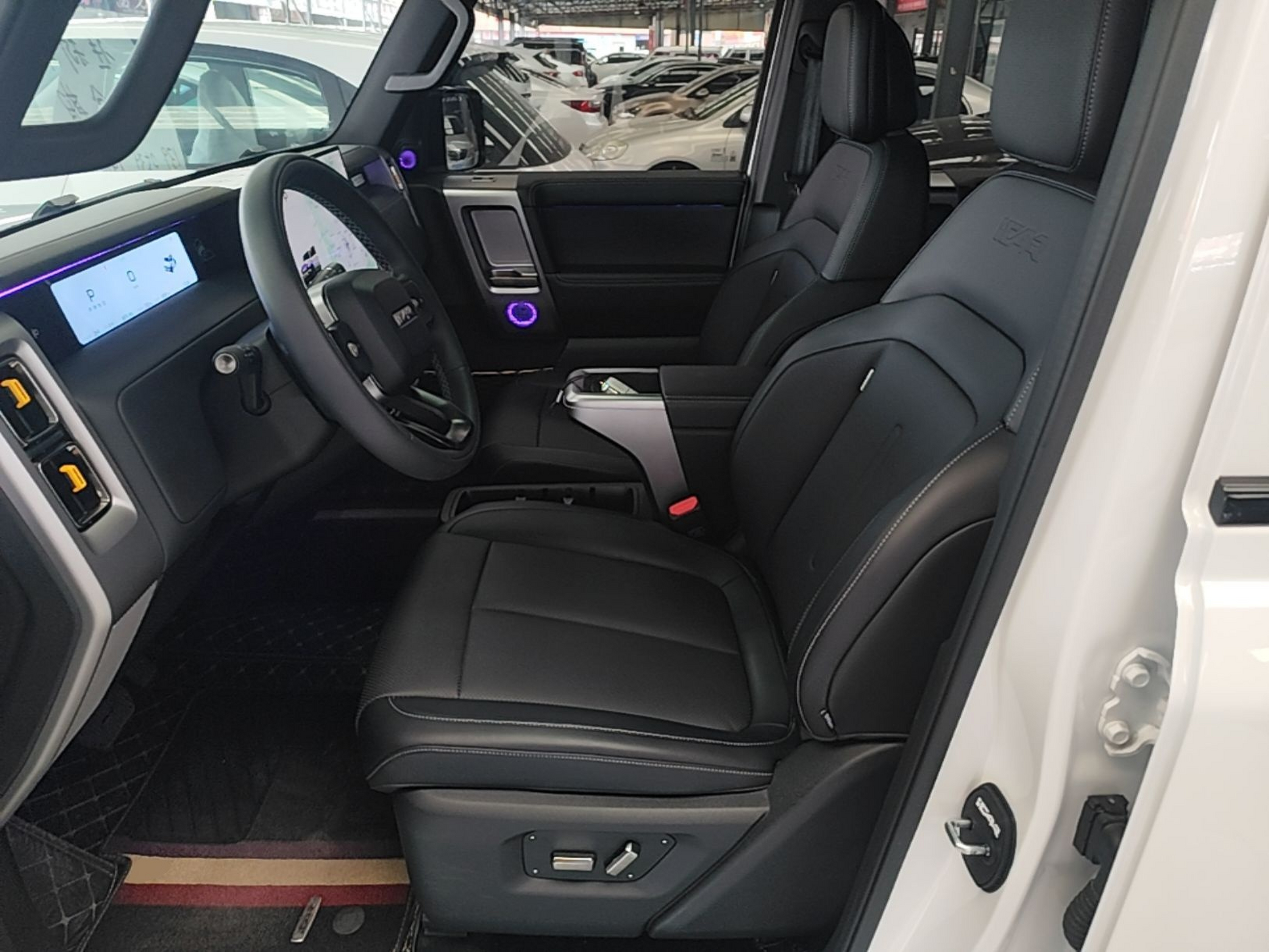 Interior delantero