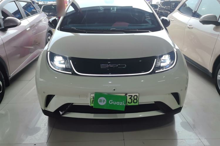 Used BYD Dolphin 2023 420 km Fashion Edition Front