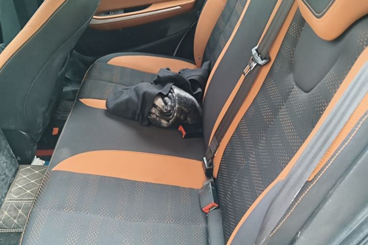 Used Chery Tiggo 3X 2017 1.5L Manual Urban Leading Edition Left Rear Seat