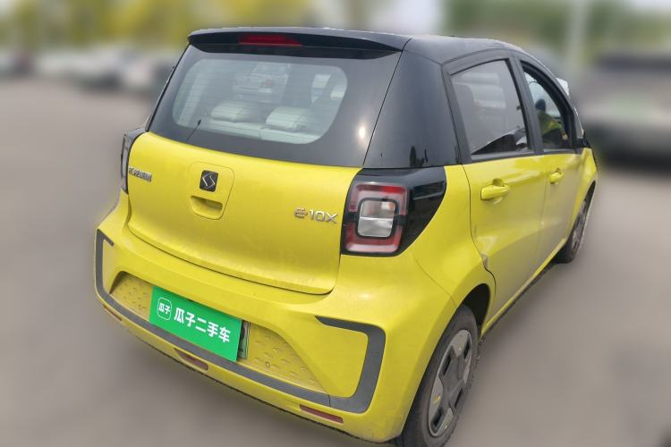 Used SOL E10X 2022 Flower Fairy Design Four-Leaf Clover
