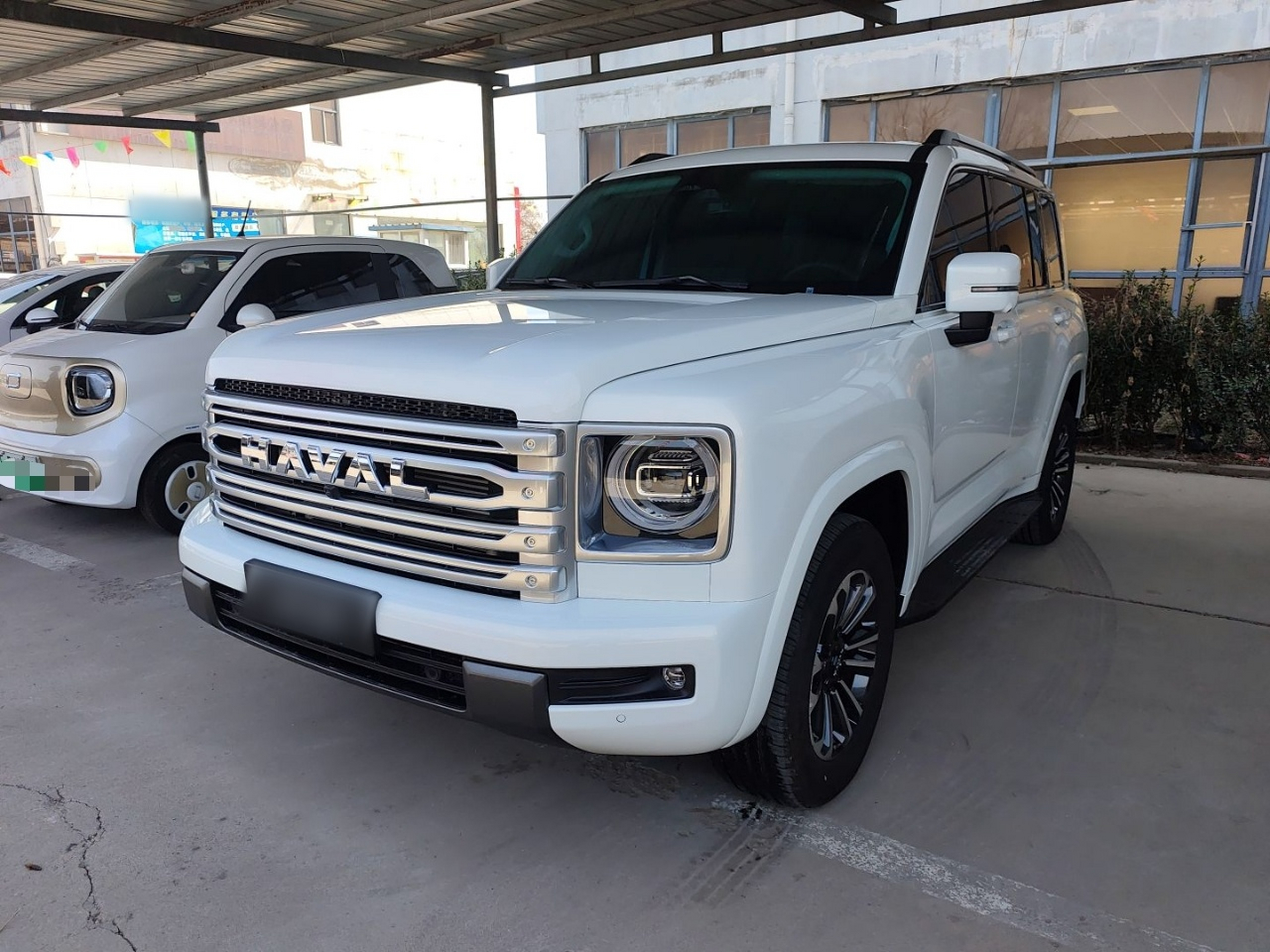 Parte inferior delantera