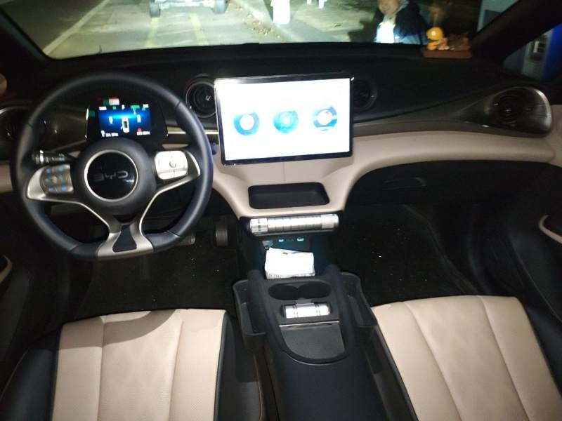 Used BYD Dolphin 2025 420km Free Edition — 5
