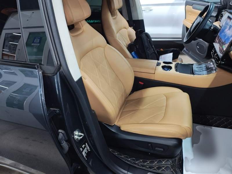 Used Leapmotor C11 2024 All-Electric 580 Luxury Edition — 24