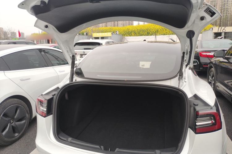 Used Tesla Model 3 2021 Revised Version II – Performance High-Performance All-Wheel-Drive Edition
