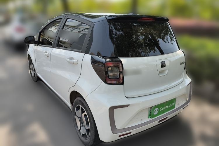 Used SOL E10X 2022 Flower Fairy Design Sunflower
