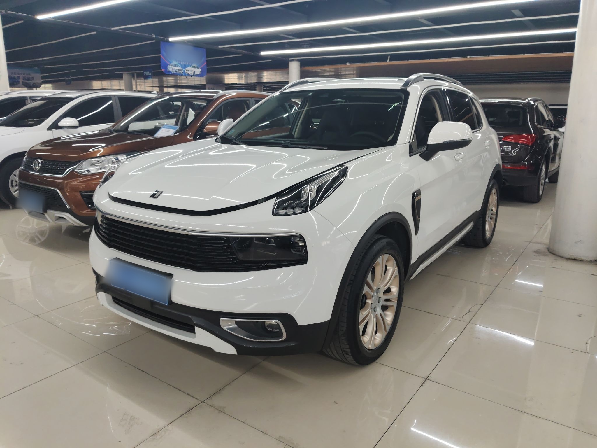 Parte inferior delantera