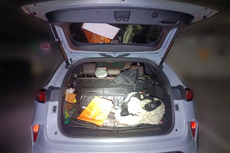 Used Wey Mocha 2021 2.0T Two-Wheel-Drive Premium Edition
