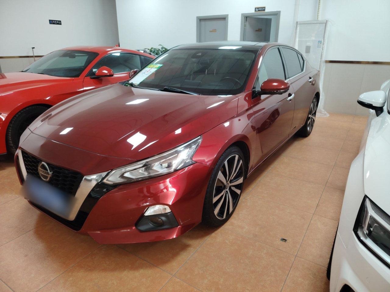 تحت مقدمة السيارة