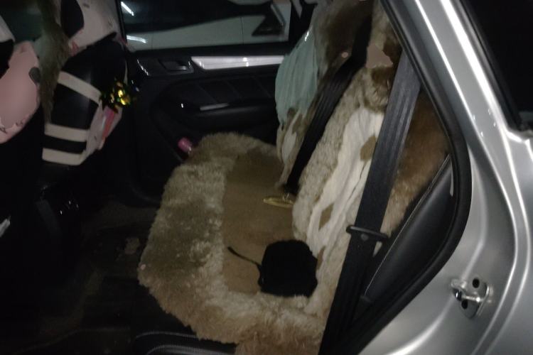 Used Roewe RX5 New Energy 2017 ERX5 EV400 Electric Internet Supreme Edition Left Rear Seat