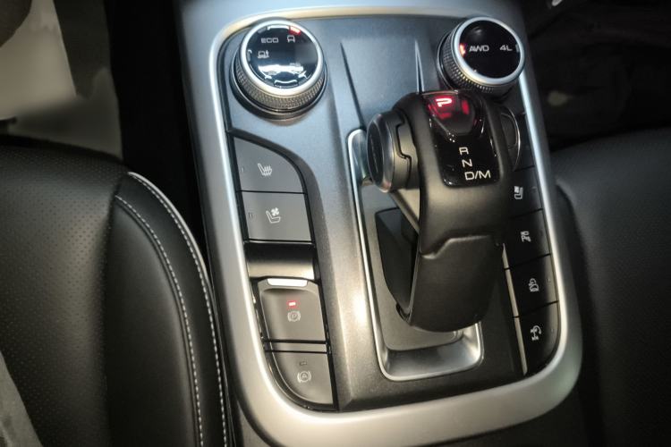 Used Tank 300 2024 2.0T Crosser
