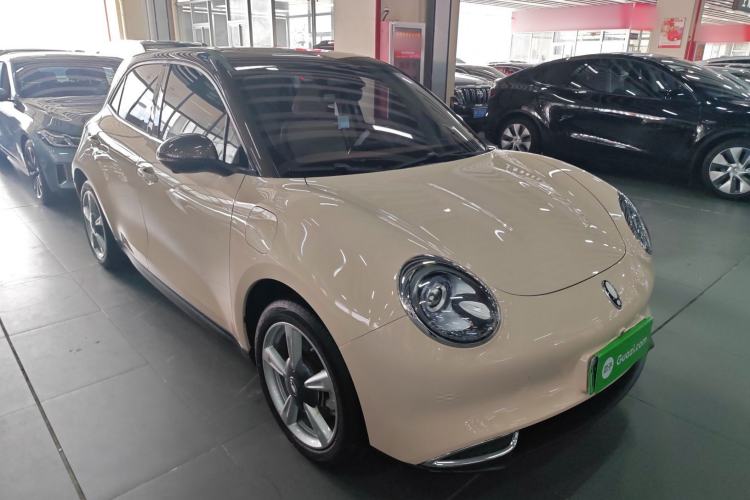 Used ORA Good Cat 2022 Morandi Edition 400km Standard Range Premium Version Lithium-Ion Battery
