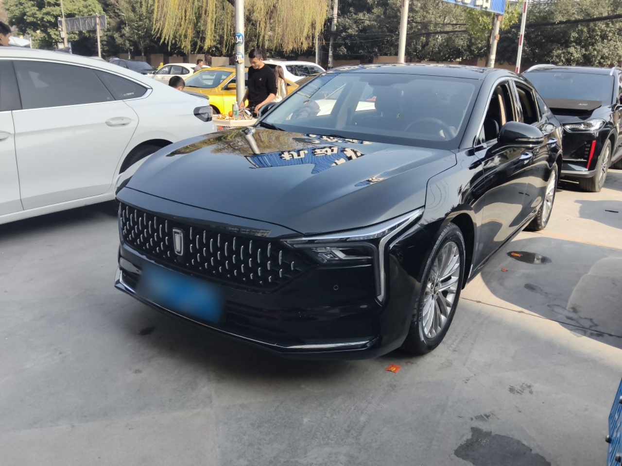 تحت مقدمة السيارة