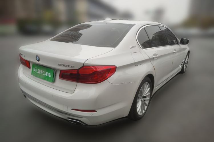 Used BMW 5 Series New Energy 2019 530Le Luxury Package
