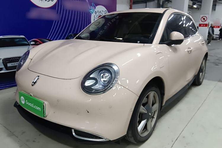 Used ORA Good Cat 2022 Morandi Edition 400km Standard Range Premium Version Lithium-Ion Battery