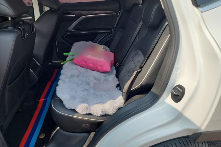 Used Haval H6 2023 National Trend Edition 1.5T Automatic Urban Version