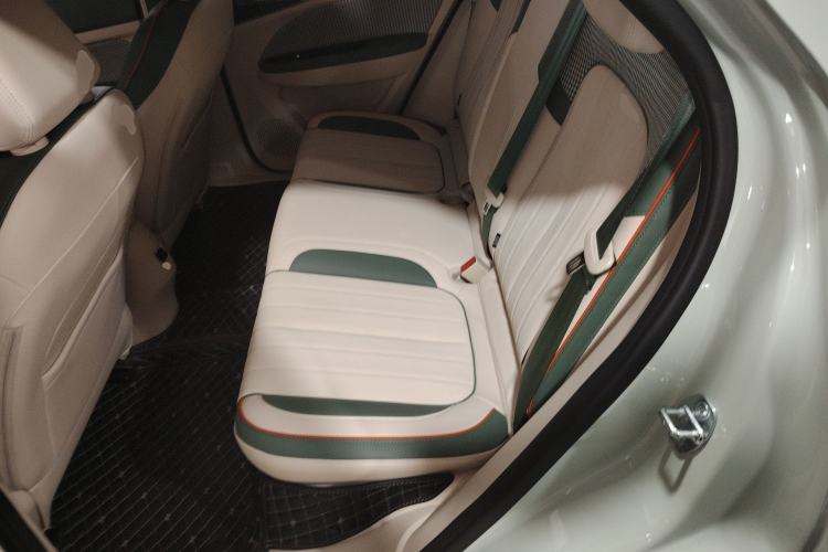 Used ORA Good Cat 2022 Morandi Edition 400km Standard Range Luxury Version Lithium-Ion Battery
