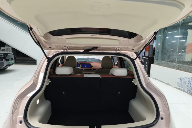 Used ORA Good Cat 2023 401 km Standard Range Luxury Version Lithium Iron Phosphate
