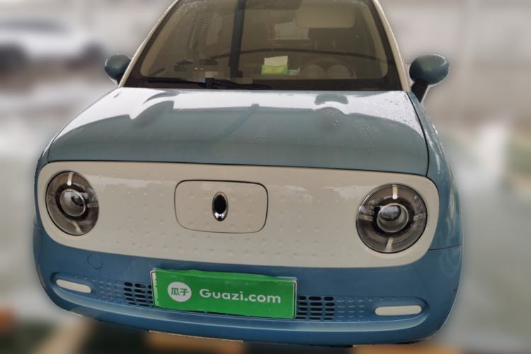 Used ORA Black Cat 2021 301 km Basic Version Front