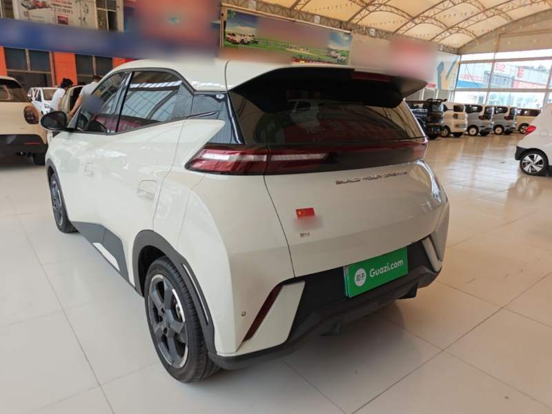 Used BYD Seagull 2023 Free Edition — 4