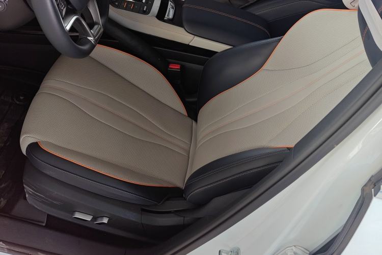 Used BYD Song PLUS New Energy 2021 DM-i 51KM Prestige Model Left Front Seat