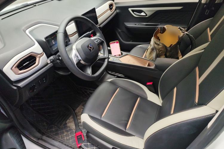 Used SOL E10X 2022 Flower Fairy Design Four-Leaf Clover