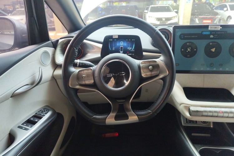 Used BYD Dolphin 2021 405 km Free Version