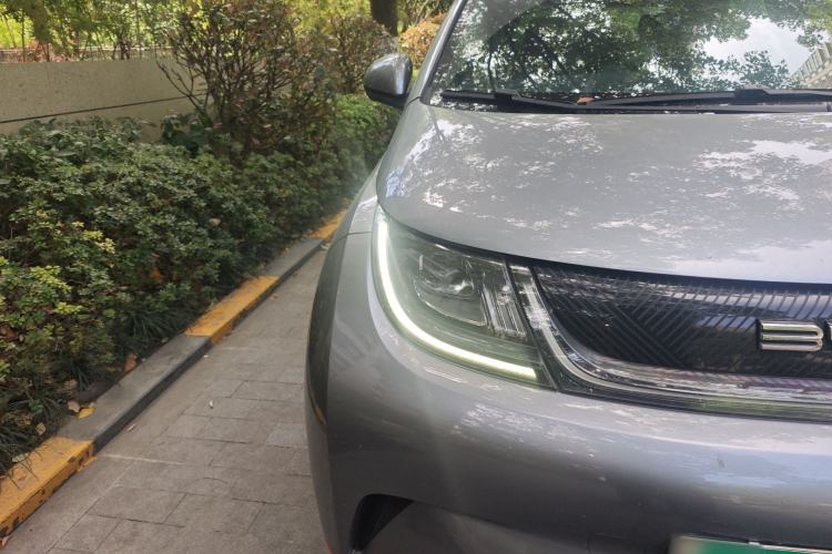 Used BYD Dolphin 2021 405 km Fashion Edition Exterior 6