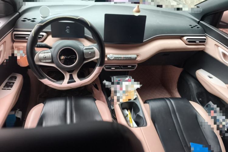 Used BYD Seagull 2023 Active Version Center Console