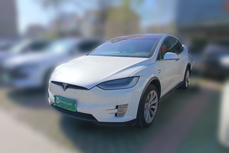 Used Tesla Model X 2017 X 100D Long Range Edition