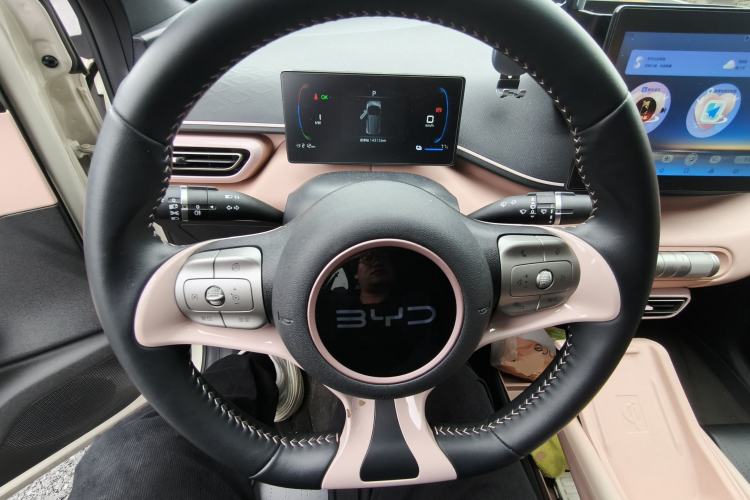 Used BYD Seagull 2025 305 km Free Version