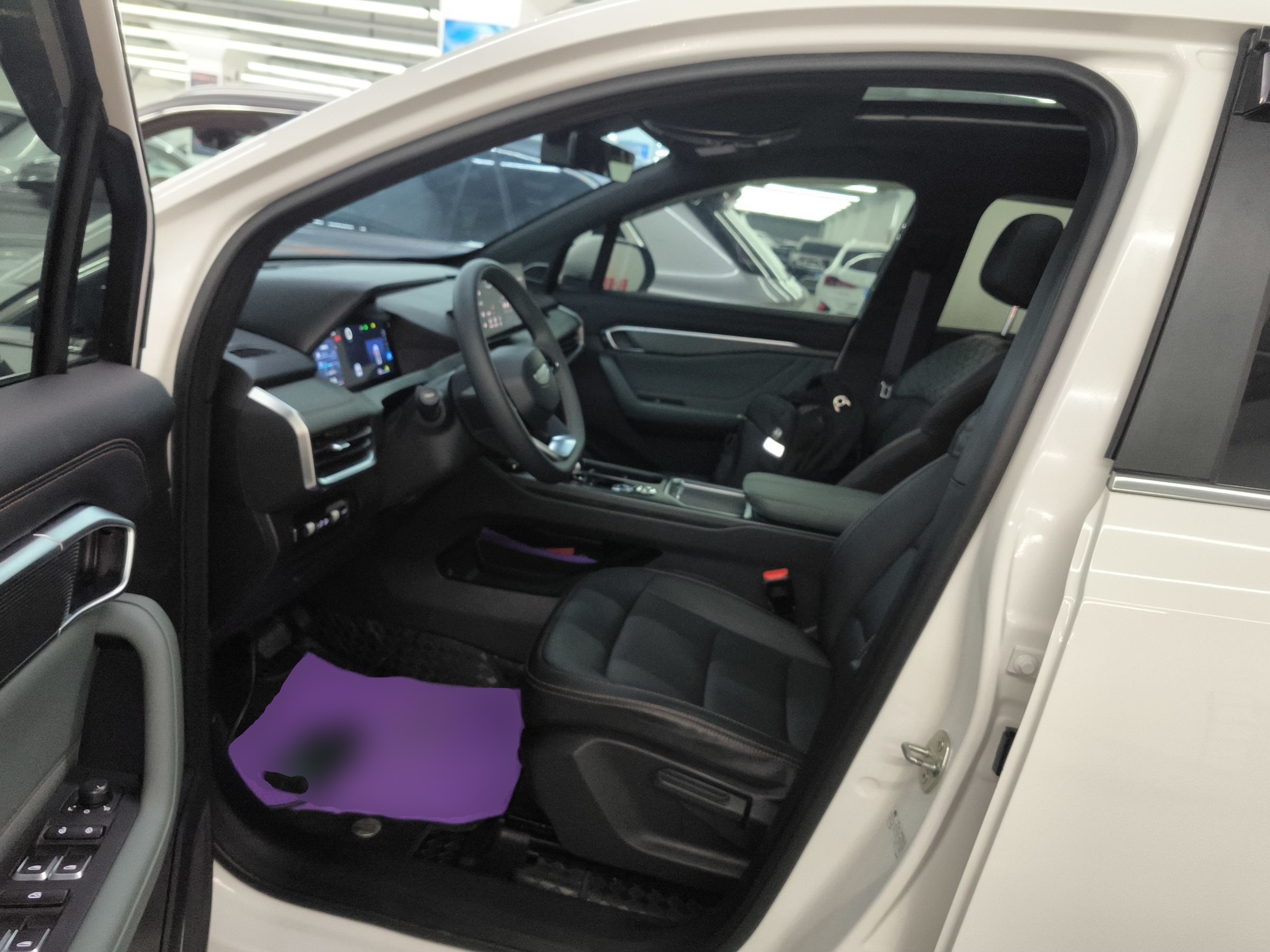 Interior delantero