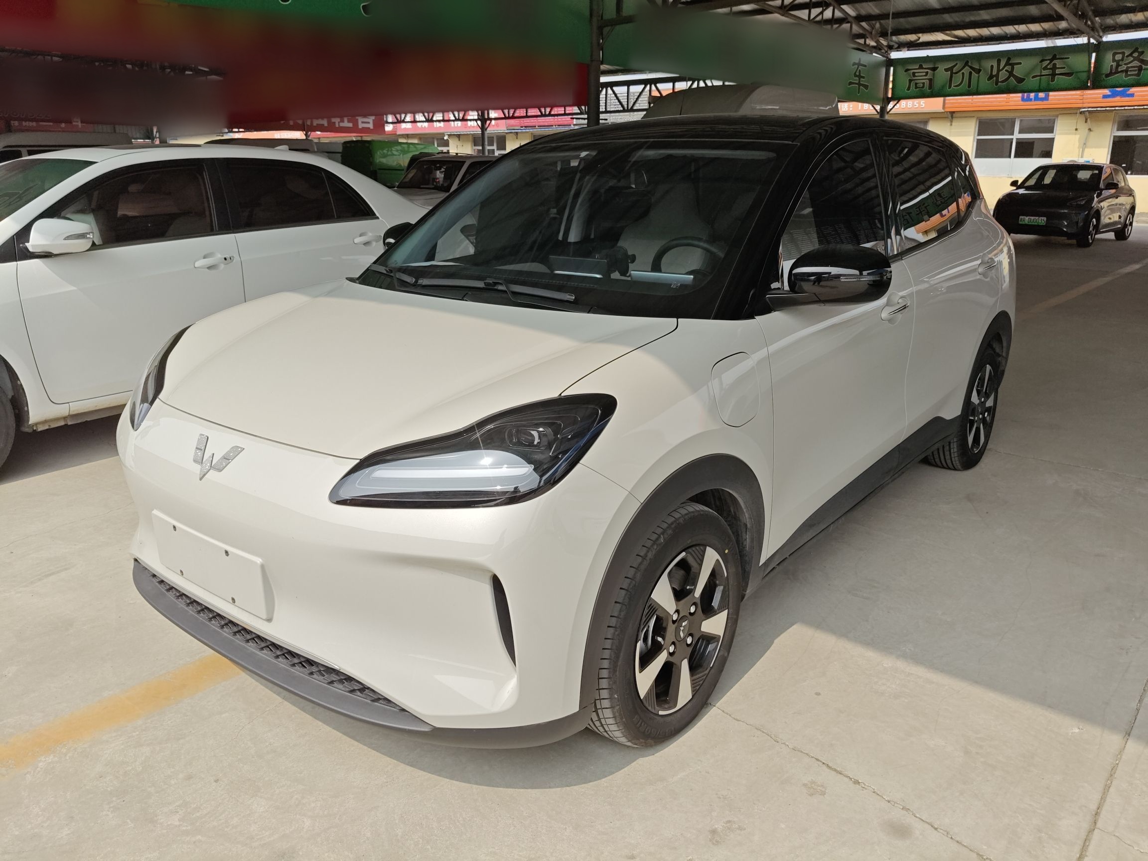 Parte inferior delantera