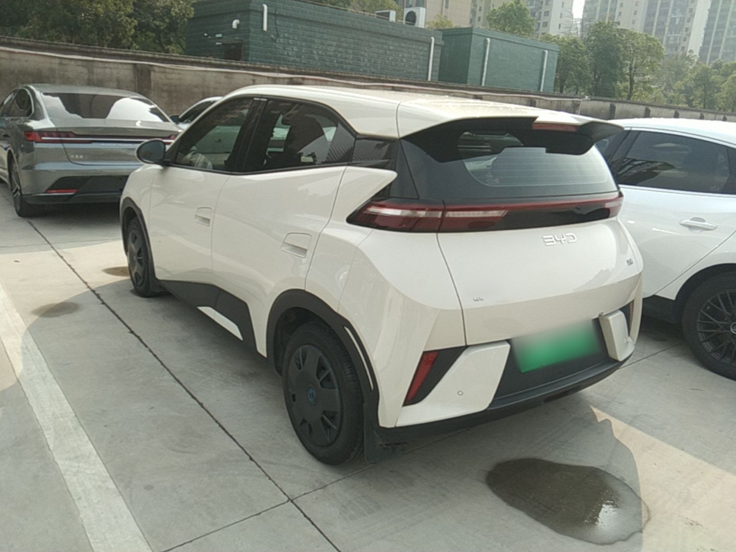 BYD Seagull 2025 Intelligent Driving Version 305 km Dynamic Edition — снимка 4