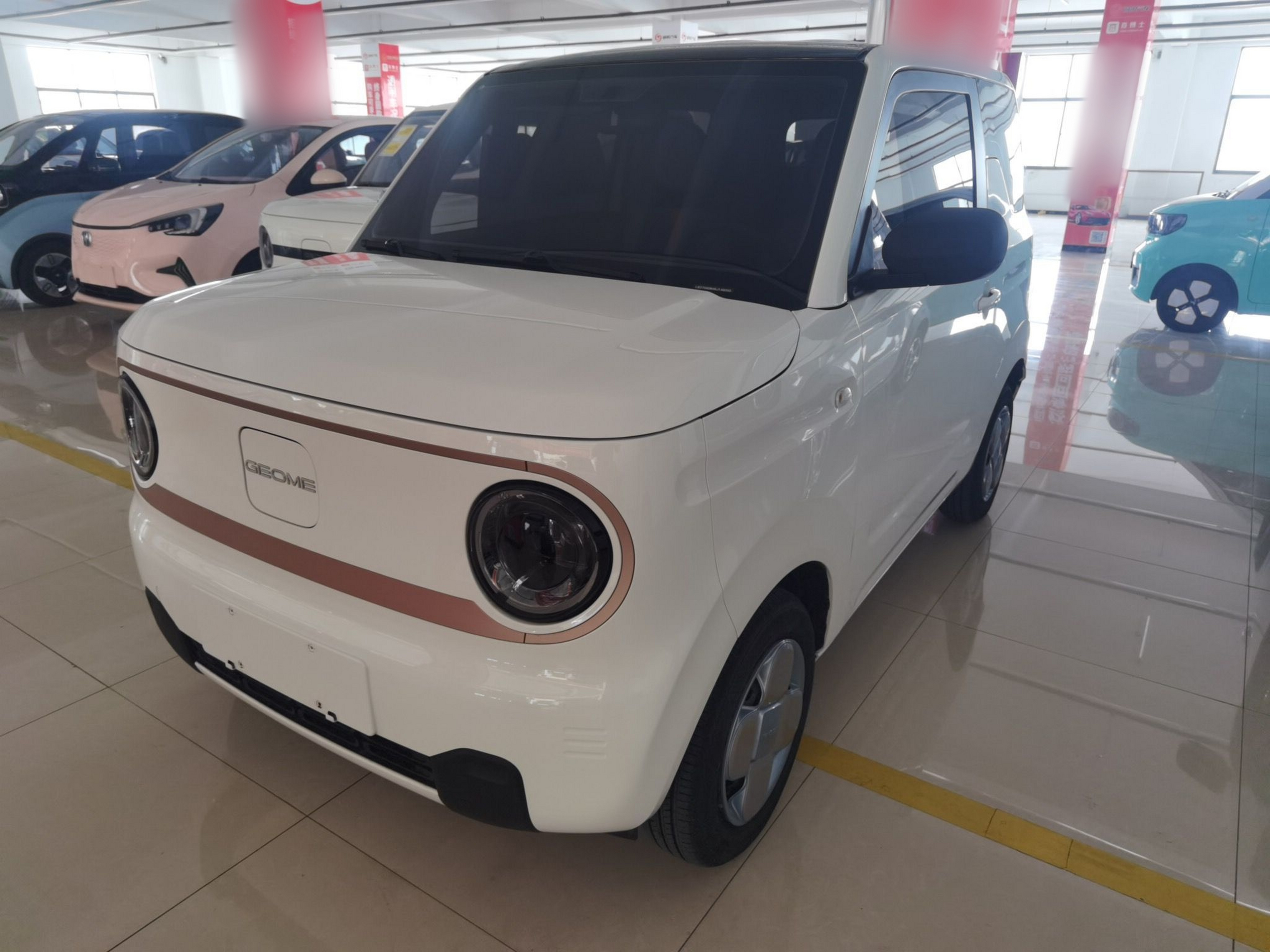 Parte inferior delantera