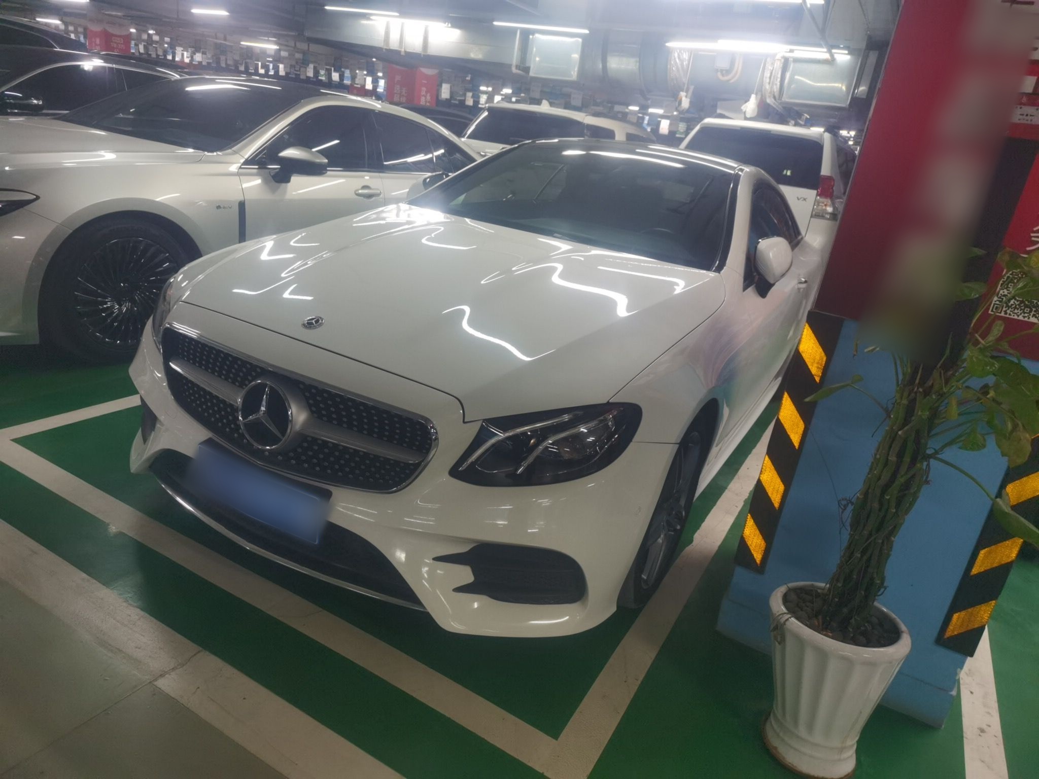 Parte inferior delantera