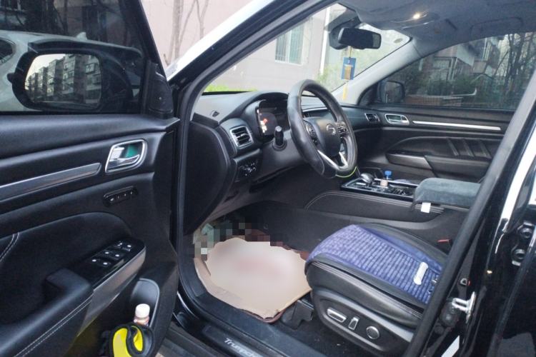 Used GAC Trumpchi GS8 
