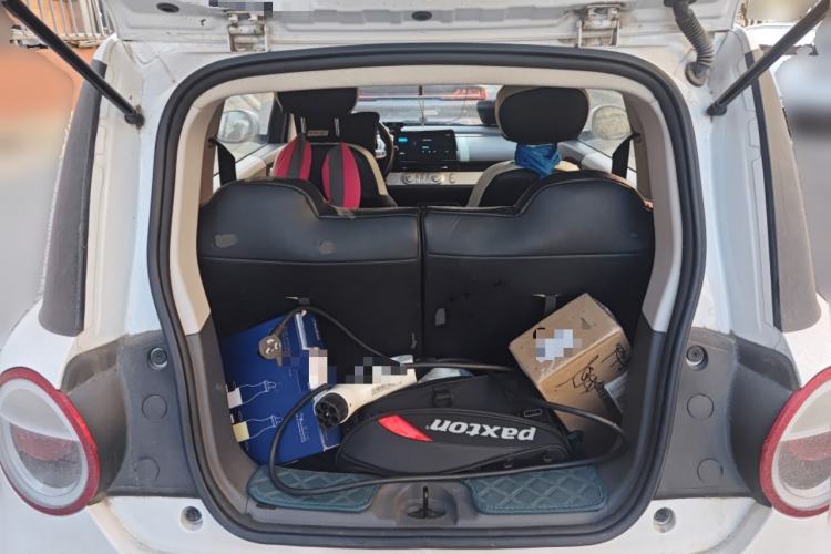 Used Qiyuan Lumin 2023 205km Xiangqin Version
