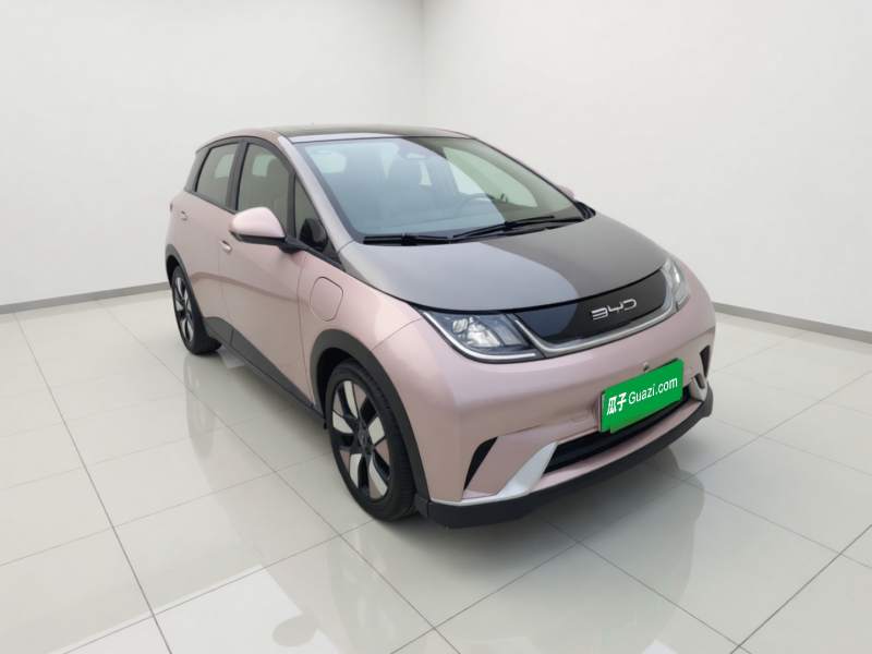 Used BYD Dolphin 2021 401km Knight Edition — 3