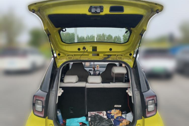 Used SOL E10X 2022 Flower Fairy Design Four-Leaf Clover
