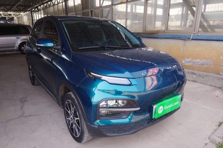 Used Dayun Yuehu 2022 30.66 kWh Two-Wheel Drive VIP Edition
