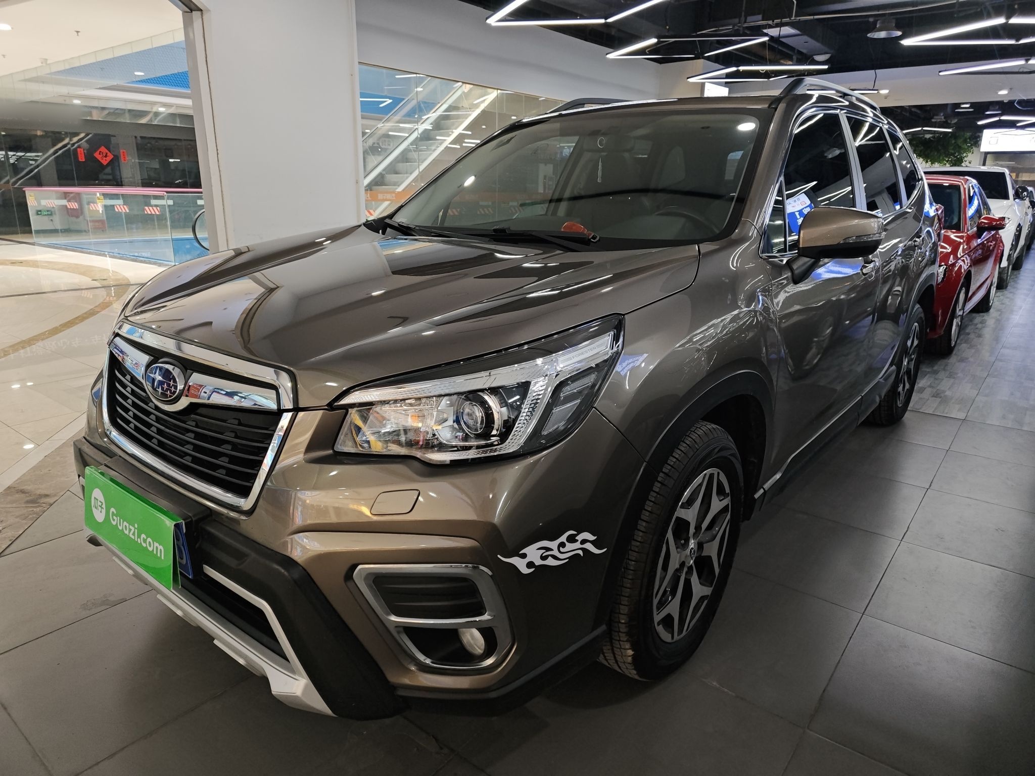 Parte inferior delantera