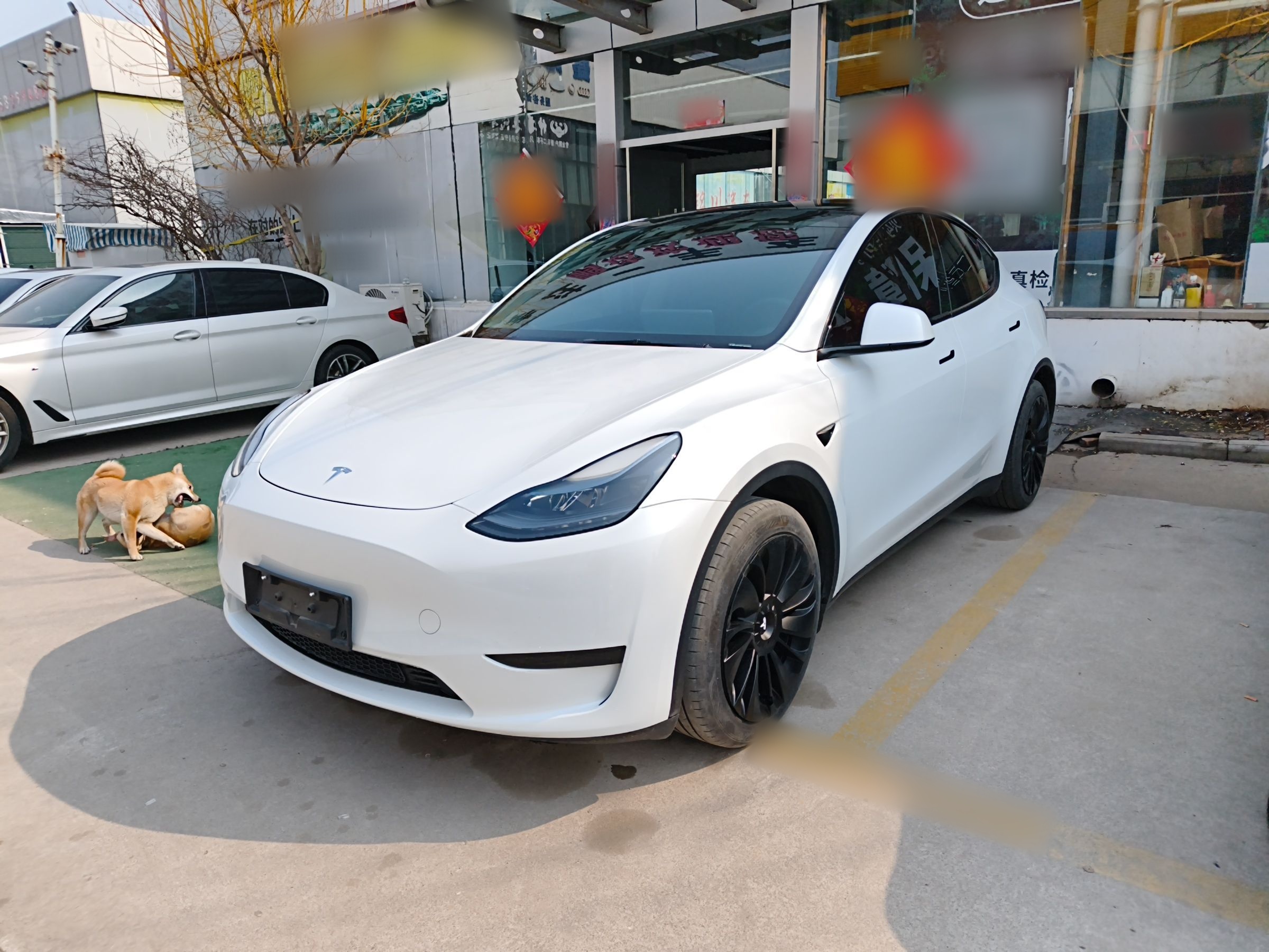 Parte inferior delantera