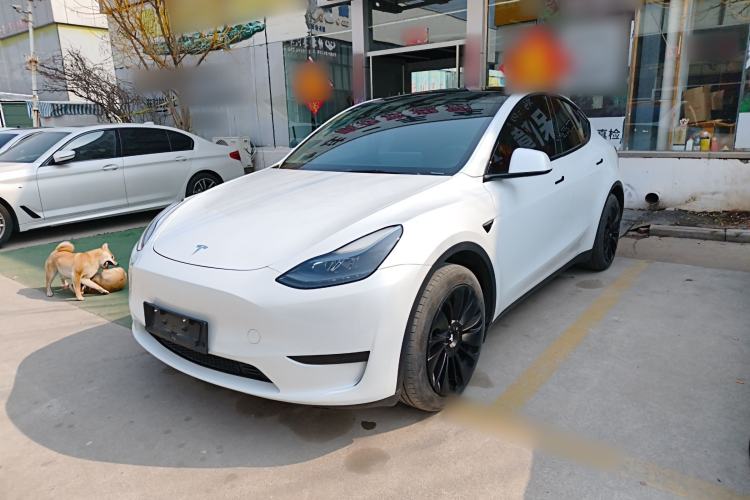 Used Tesla Model Y 2024 Rear-Wheel-Drive Version