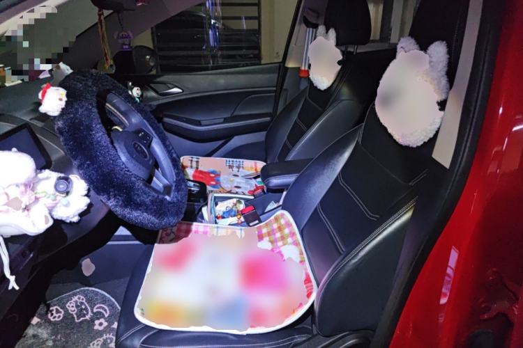 Used BYD Yuan New Energy 2019 EV535 Smart Connect Trendsetting Model Left Front Seat